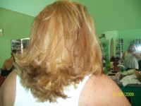 /album/galeria-de-fotos/imagem-229-jpg/